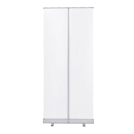 Rollup Basic Budget